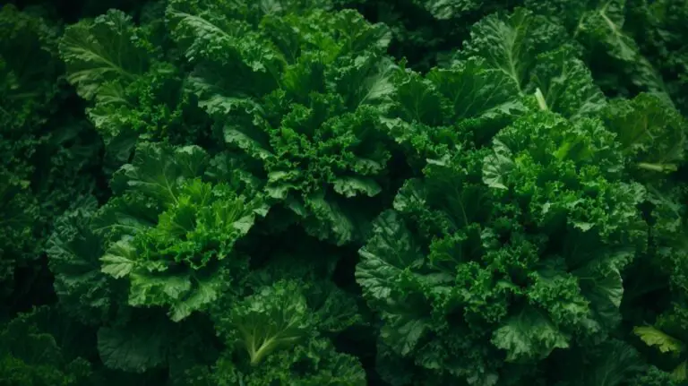 How to Cook Kale for Salad?