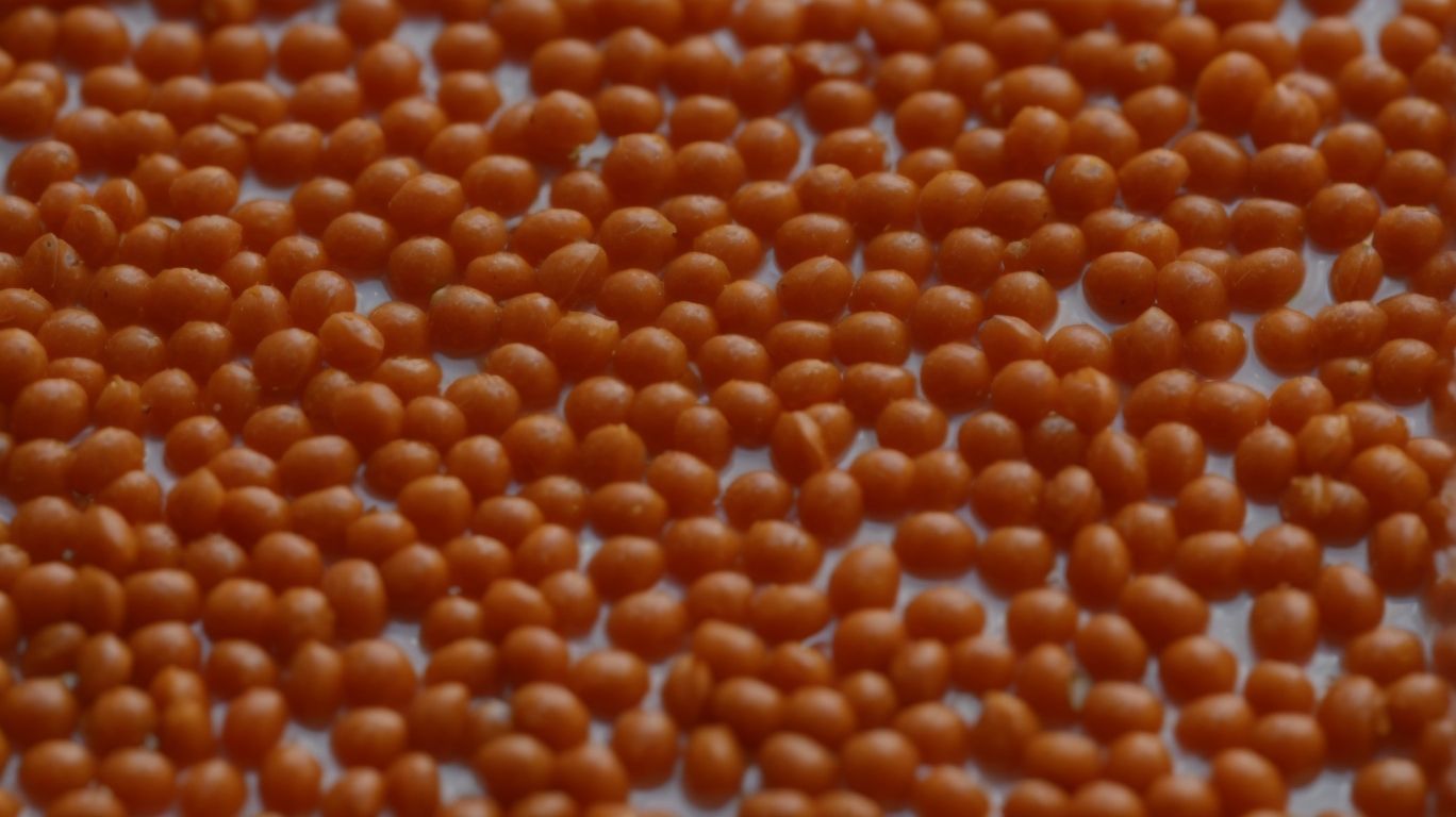 How to Store Cooked Red Lentils? - How to Cook Red Lentils? 